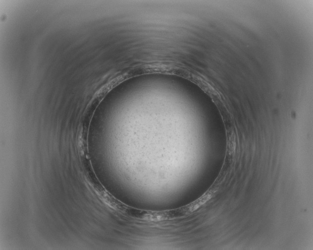 X0000085230764200703161310