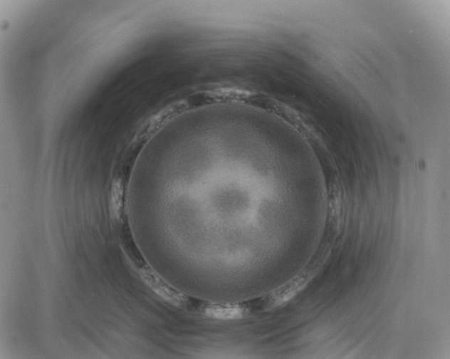X0000085230767200703161310
