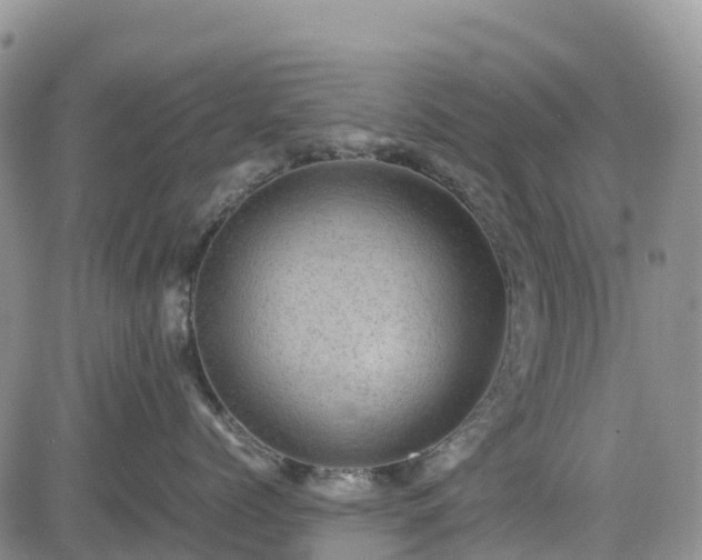 X0000085230768200703161310
