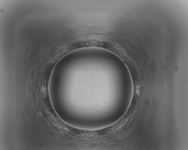 X0000085230771200703161309