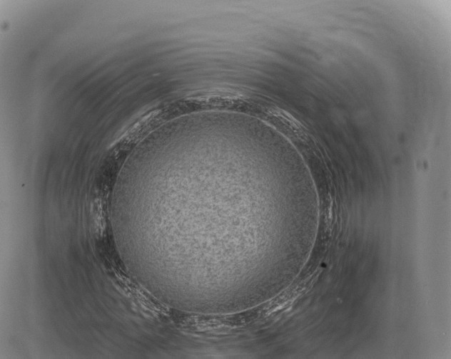 X0000085230774200703161309