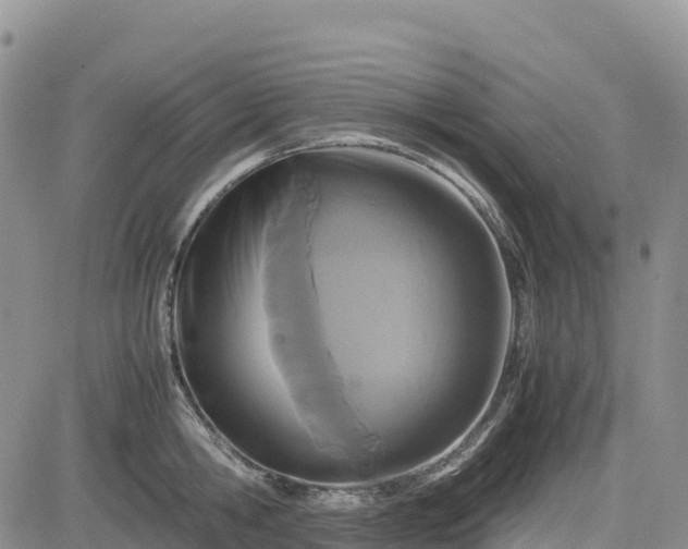 X0000085230806200703161309