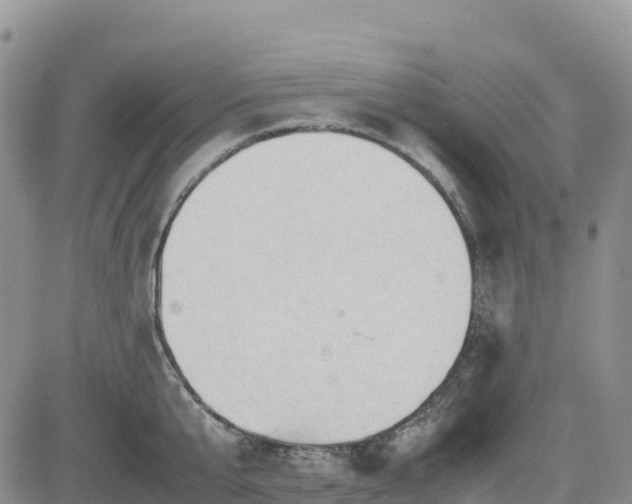 X0000085230807200703161309