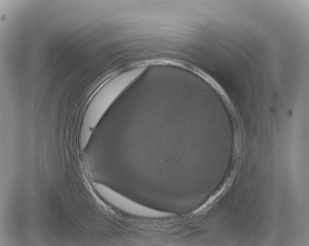 X0000085230809200703161309