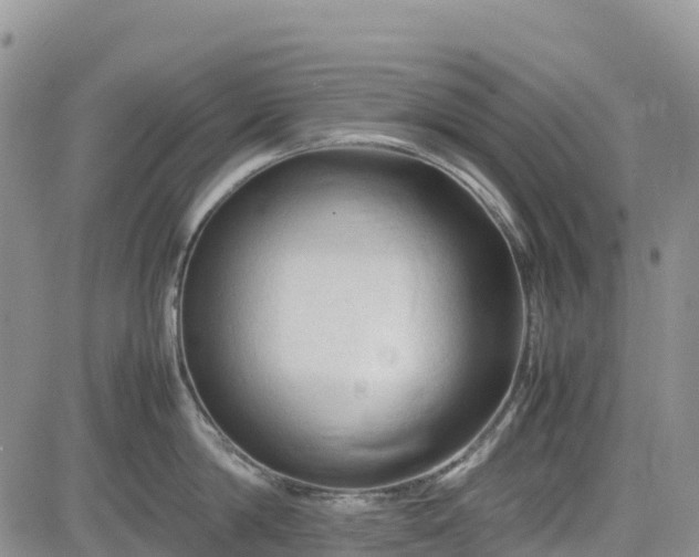 X0000085230814200703161309
