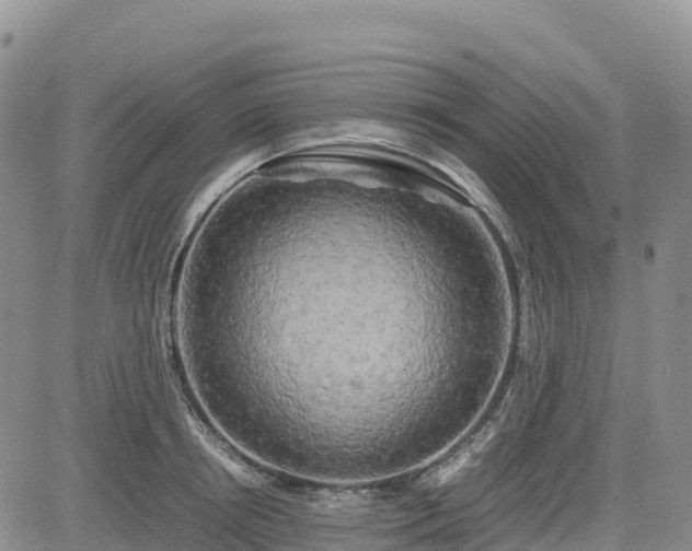 X0000085230850200703161308