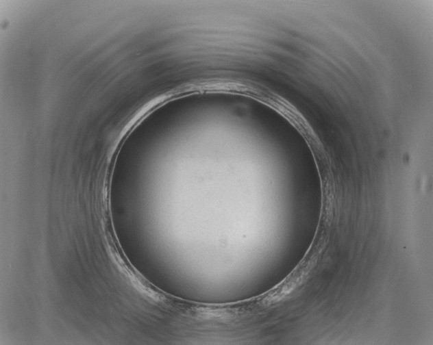 X0000085230852200703161308