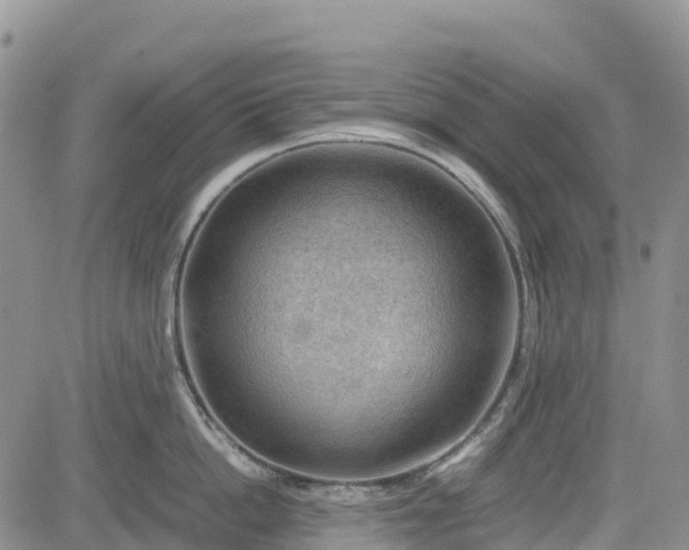 X0000085230862200703161309