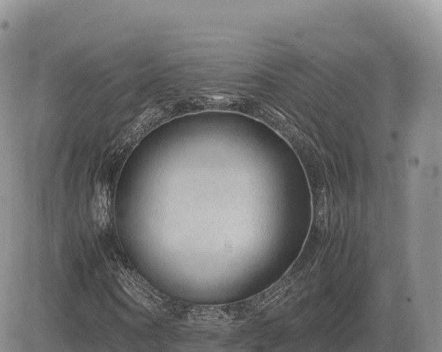 X0000085230866200703161308