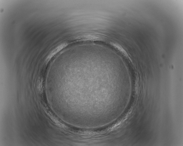 X0000085230873200703161308