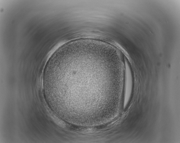 X0000085230891200703161307