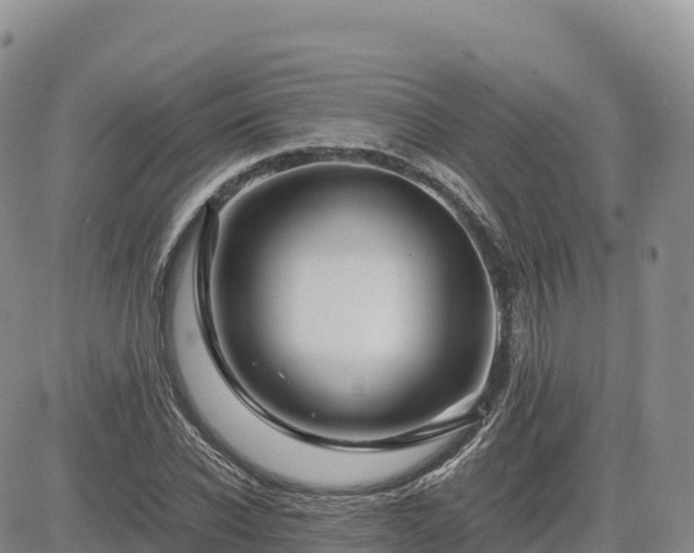 X0000085230926200703161306