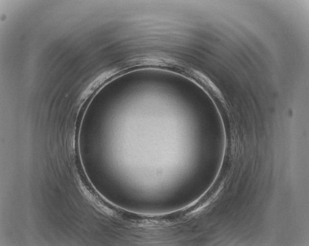 X0000085230938200703161307