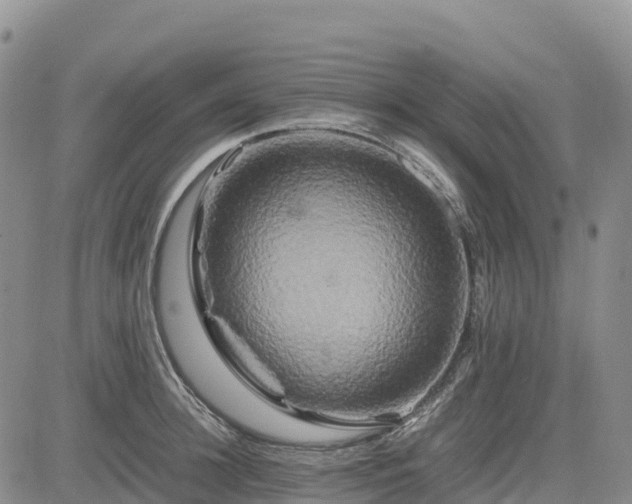 X0000085230948200703161307