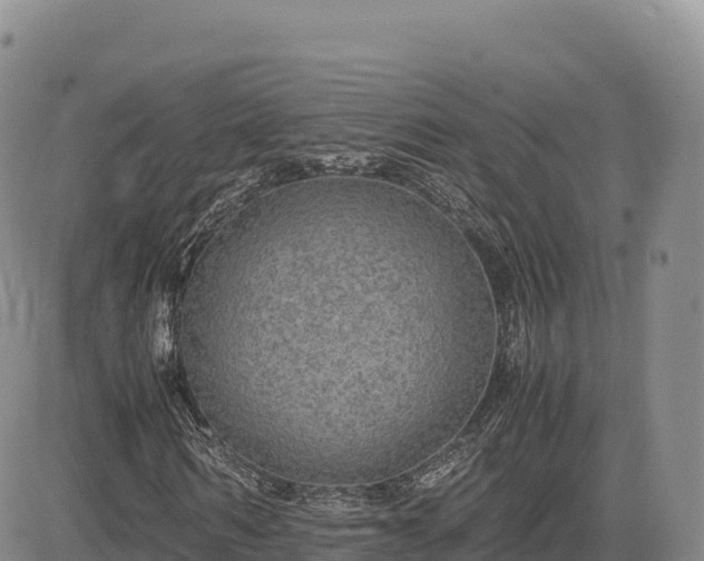X0000085230962200703161306