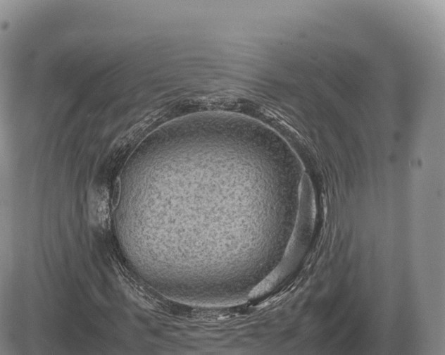 X0000085230963200703161306