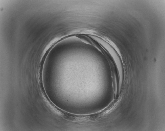 X0000085230997200703161306