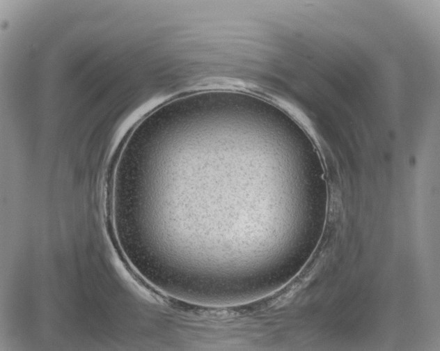 X0000085231003200703161305