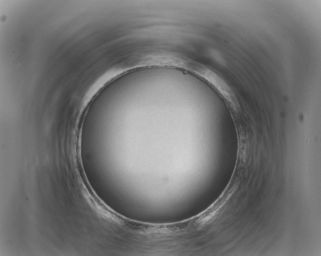 X0000085231094200703161304