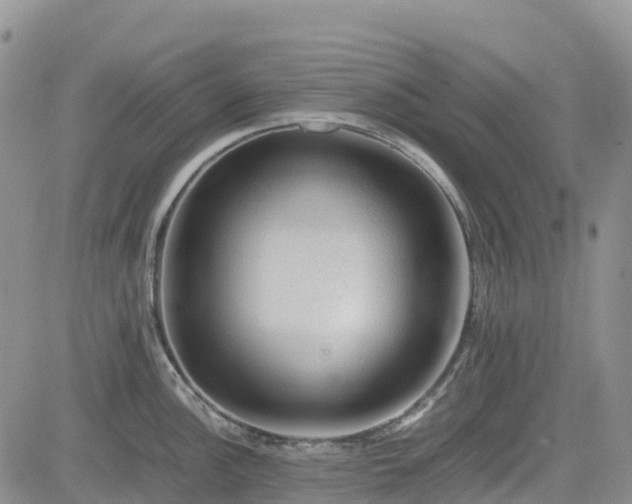 X0000085231148200703161304