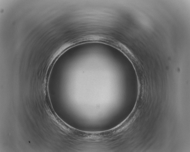 X0000085231178200703161303