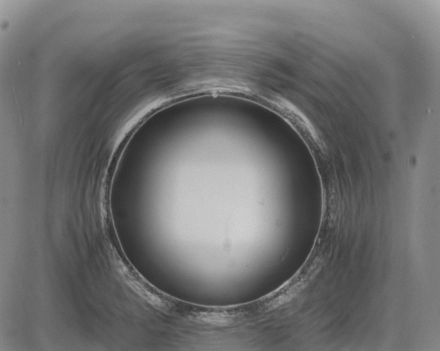 X0000085231182200703161302