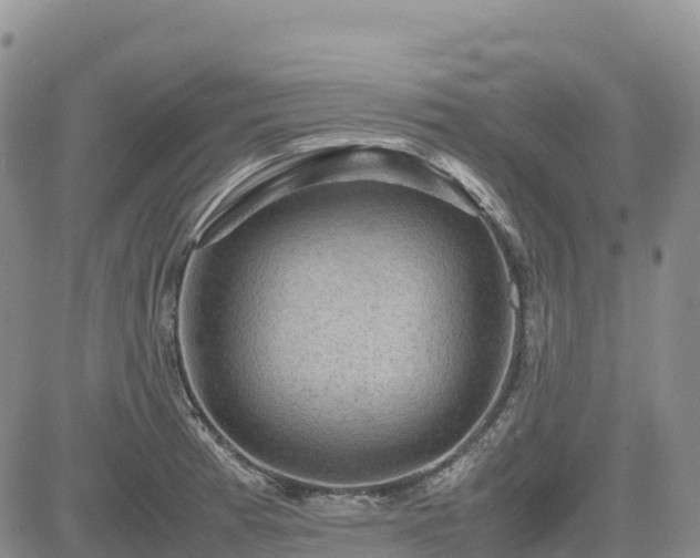 X0000085231185200703161302