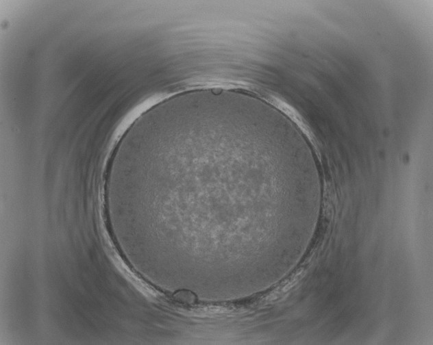 X0000085231187200703161302