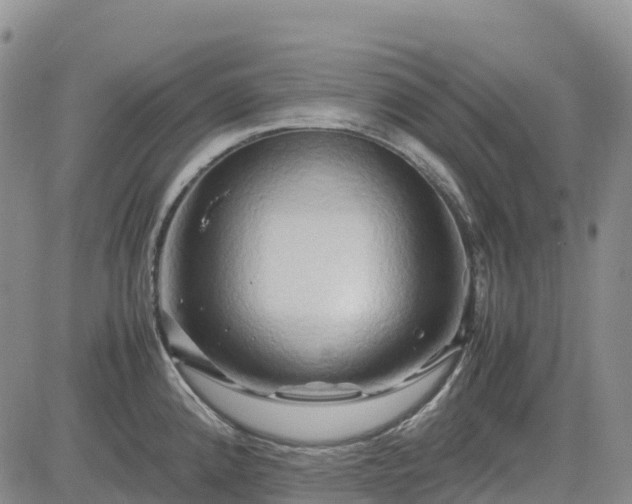 X0000085231192200703161302