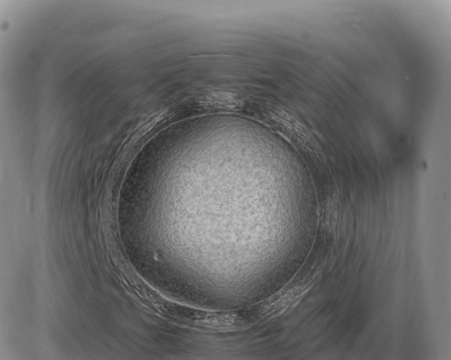 X0000085231201200703161301