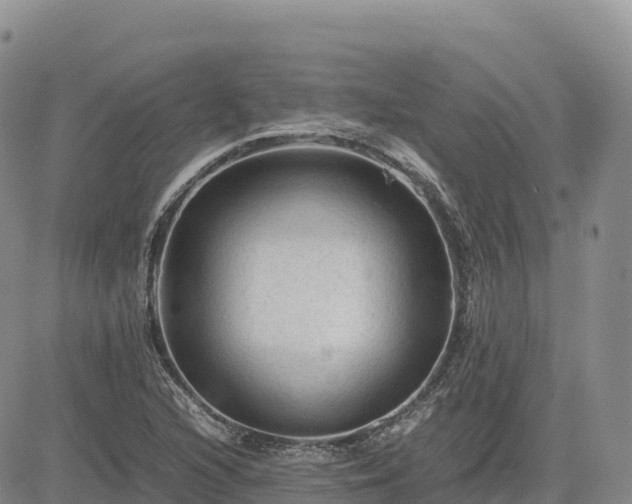 X0000085231216200703161302