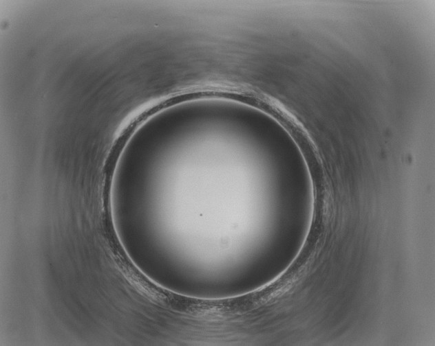 X0000085231222200703161302
