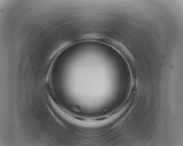X0000085231225200703161302