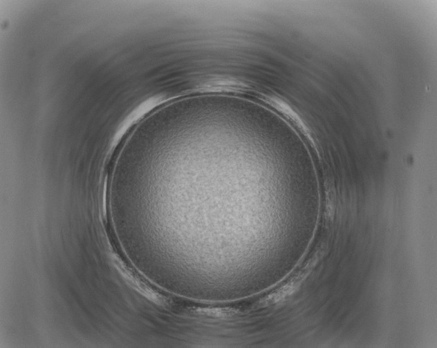 X0000085231227200703161302