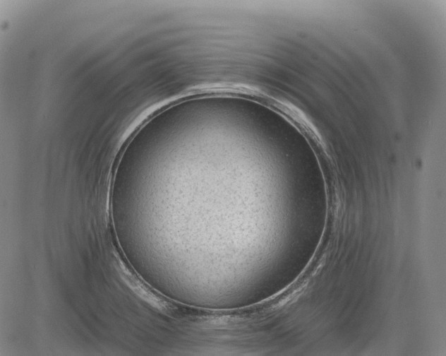 X0000085231228200703161302