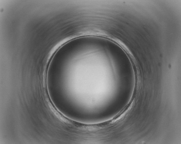 X0000085231246200703161302