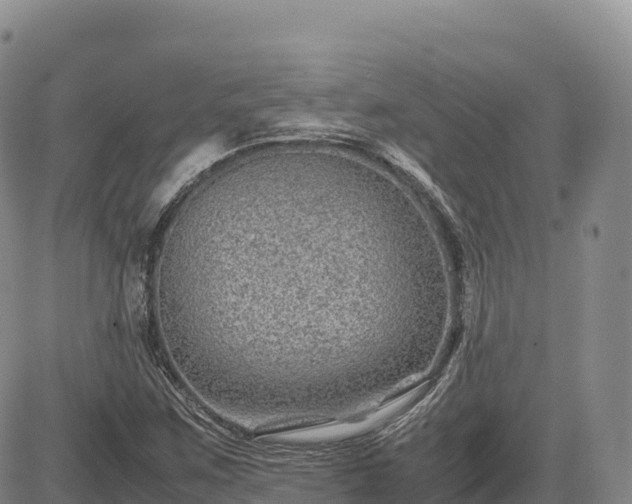 X0000085231259200703161301