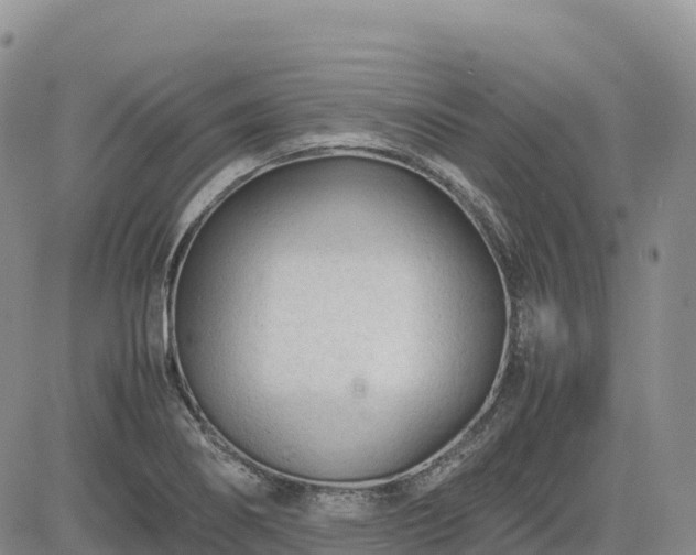 X0000085231274200703161301