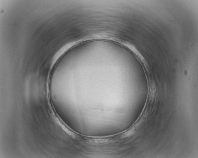 X0000085231294200703161301
