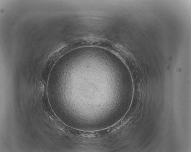 X0000085231302200703161300