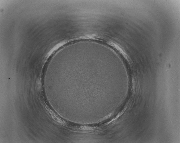 X0000085231308200703161300