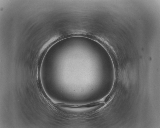 X0000085231317200703161300