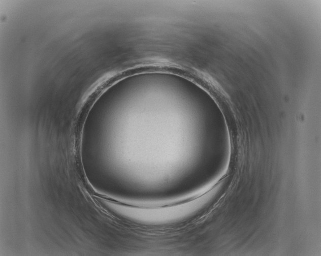 X0000085231318200703161300