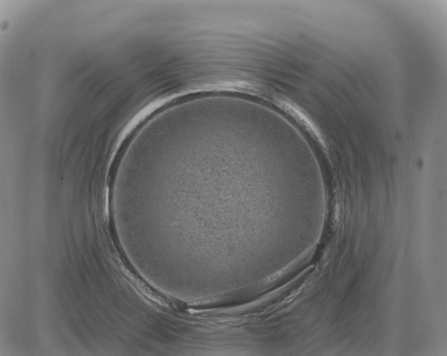 X0000085231324200703161300