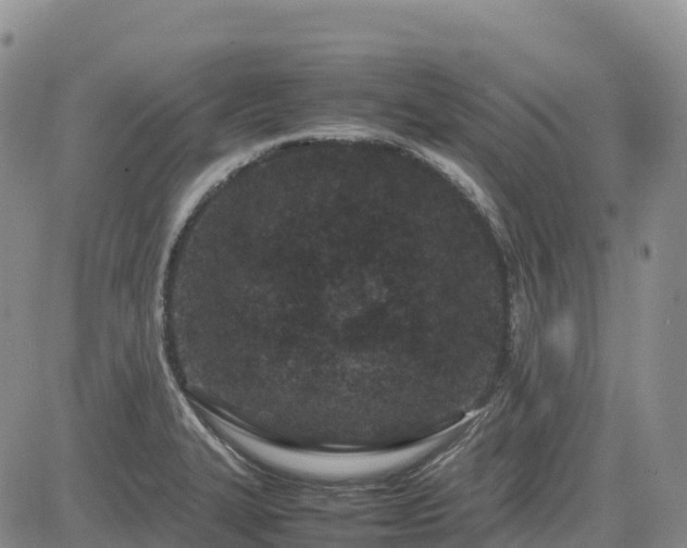 X0000085231327200703161300