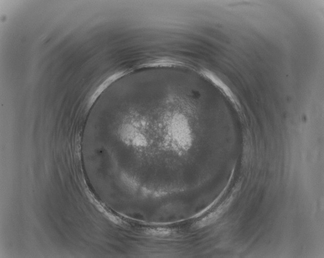 X0000085231329200703161300