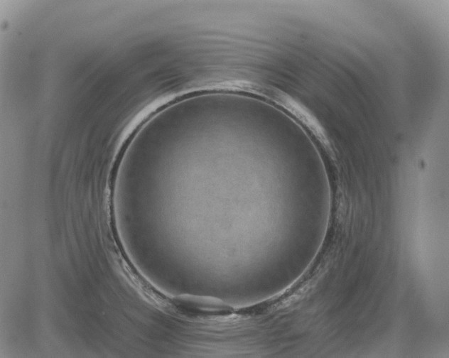 X0000085231332200703161300