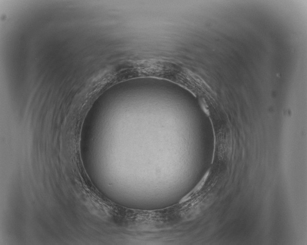 X0000085231345200703161300