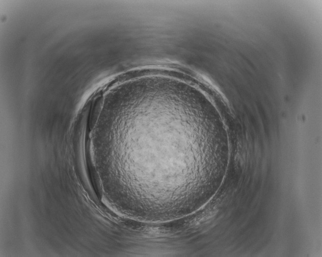 X0000085231360200703161300