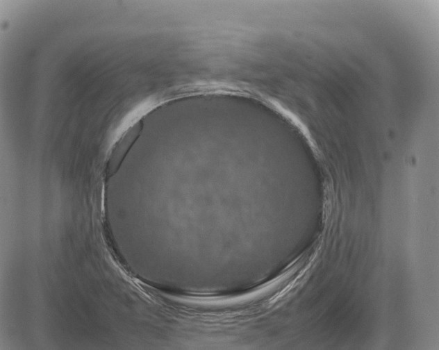 X0000085231365200703161259